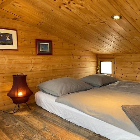 Houseboat Ginger Prague Hotel Luaran gambar